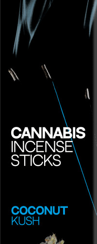 Haze Cannabis füstölő rudak Coconut Kush