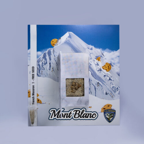 T.H.Seeds™ Cannabis Seeds Mont Blanc