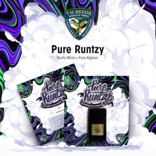 T.H.Seeds™ Cannabis Seeds Pure Runtzy