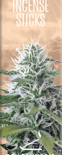 Cannabis tömjénrudak Dry Cannabis & Vanilla