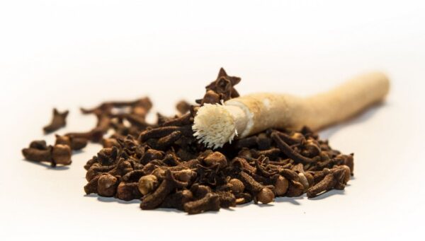SIWAK Natural fogkefe tok nélkül - Szegfűszeg