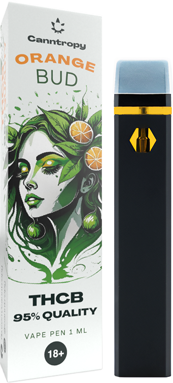Canntropy THCB eldobható Vape Pen Orange Bud