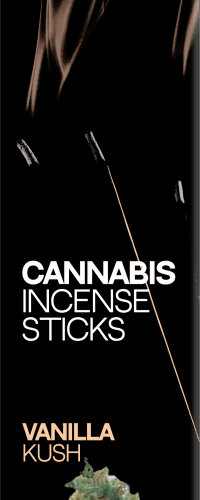 Haze Cannabis tömjénrudak Vanilla Kush