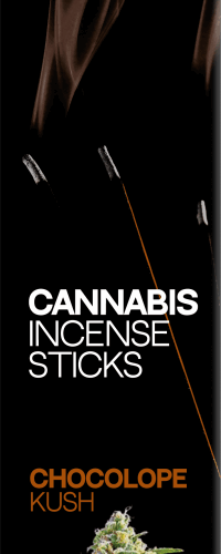 Haze Cannabis füstölő rudak Chocolope Kush
