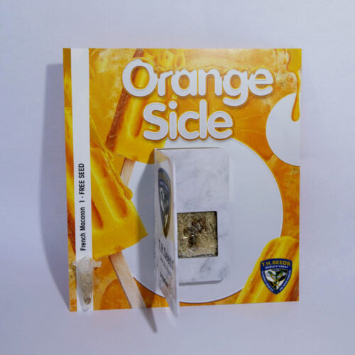 T.H.Seeds™ Cannabis Seeds Orangesicle