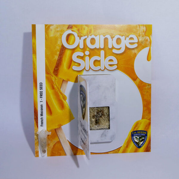 T.H.Seeds™ Cannabis Seeds Orangesicle