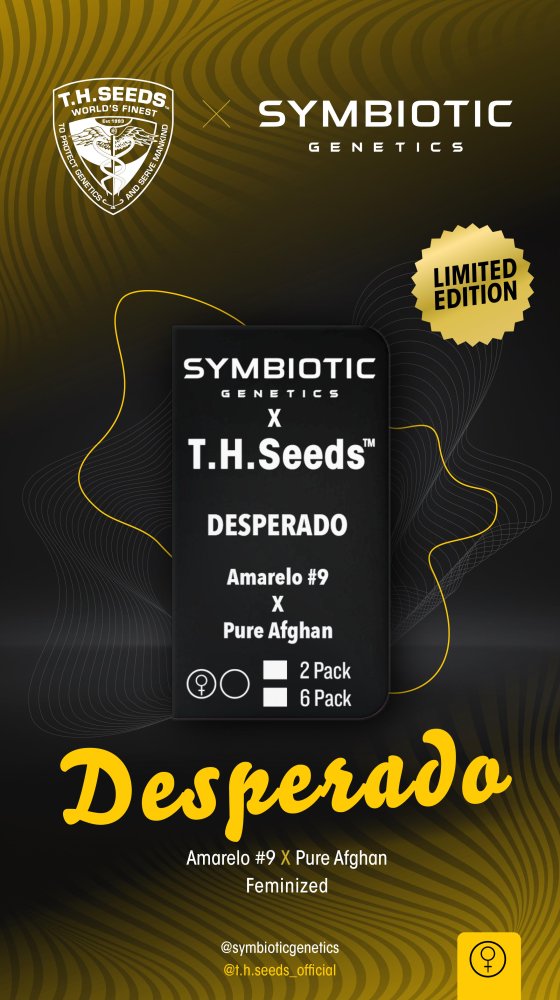 T.H.Seeds™ X Symbiotics Cannabis Seeds Desperado