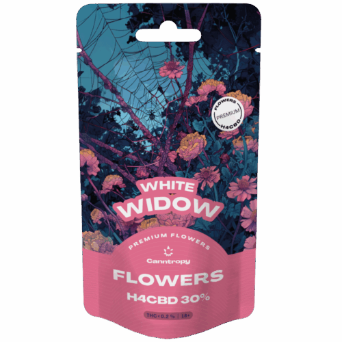Canntropy H4CBD virág White Widow 30%