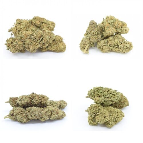 THCP Flowers mintakészlet - Gyümölcsös kavics 5%