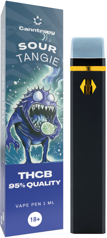Canntropy THCB eldobható Vape Pen Sour Tangie