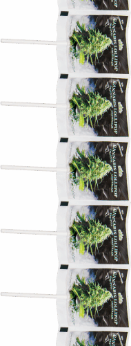 Cannabis White Widow nyalókák – csíkos (10 nyalóka)