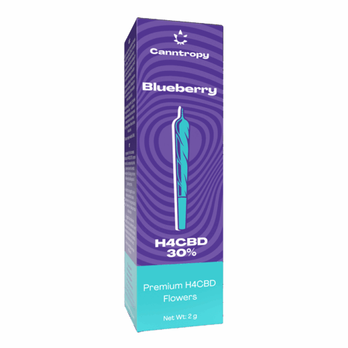 Canntropy H4CBD Prerolls Blueberry