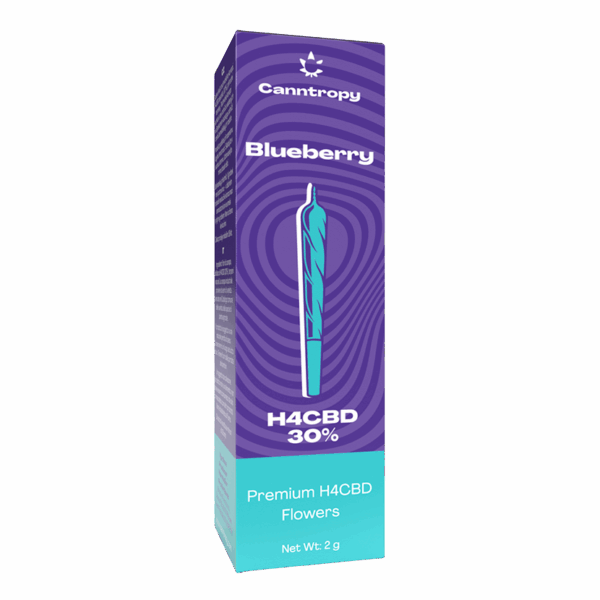 Canntropy H4CBD Prerolls Blueberry
