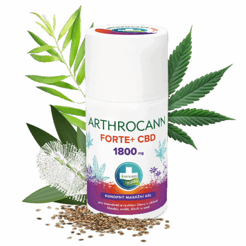 Annabis Arthrocann Gel Forte+ 1800mg CBD masszázsgél a kolosszális megkönnyebbülésért