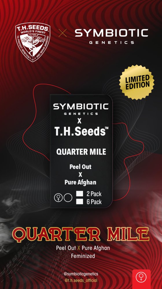 T.H.Seeds™ X Symbiotics Cannabis Seeds Quarter Mile