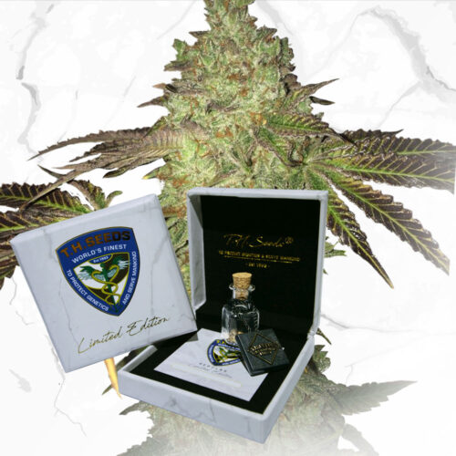 T.H.Seeds™ Cannabis Seeds Limited normál kiadású születésnapi torta X születésnapi torta X SBC