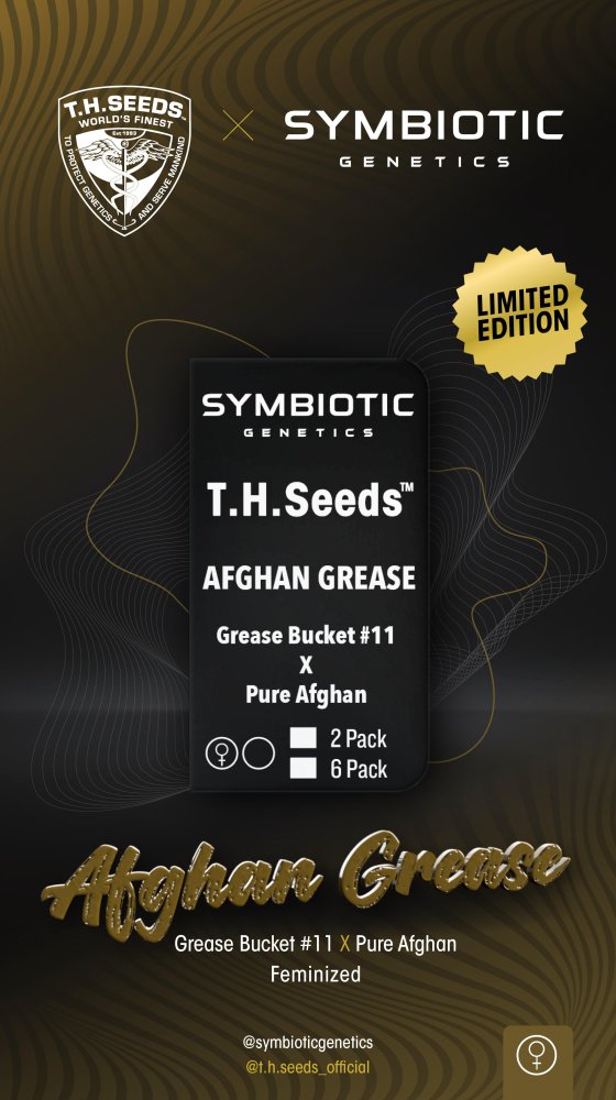 T.H.Seeds™ X Symbiotics Cannabis Seeds Afgan Grease