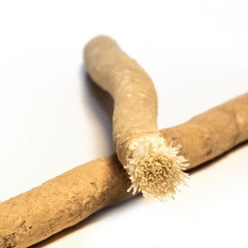 SIWAK Natural fogkefe Természetes tok nélkül
