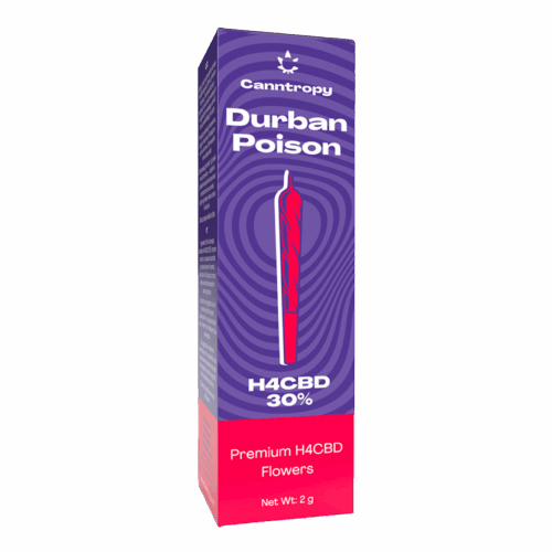 Canntropy H4CBD Prerolls Durban Poison