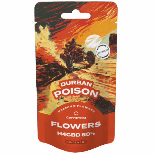 Canntropy H4CBD virág Durban Poison 60%