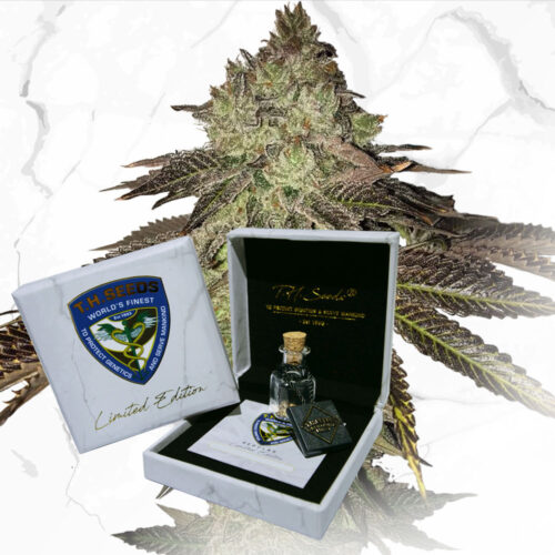 T.H.Seeds™ Cannabis Seeds limitált