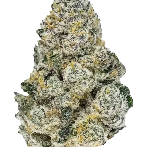 Fast Buds Lemonpaya Feminizált Kannabiszmagok 100 db