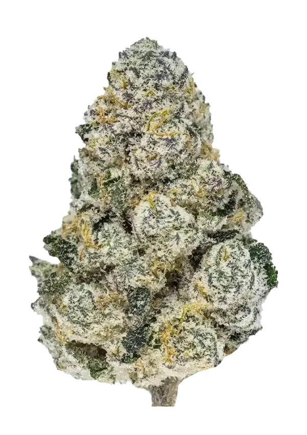 Fast Buds Lemonpaya Feminizált Kannabiszmagok 100 db
