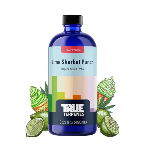 True Terpenes ízesített lime sörbet puncs (5 ml - 960 ml) 960 ml