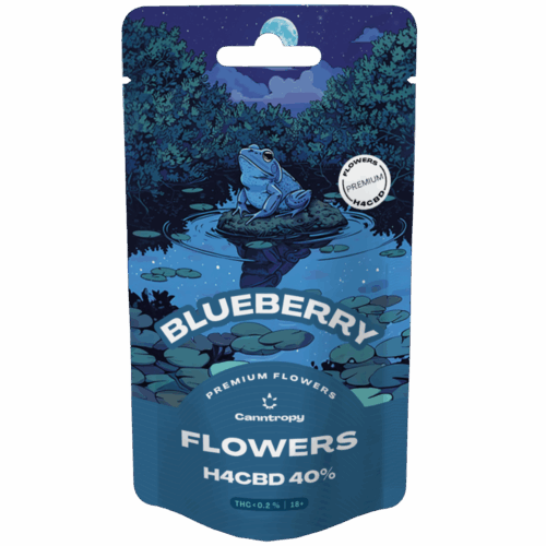 Canntropy H4CBD Flower Blueberry 40%