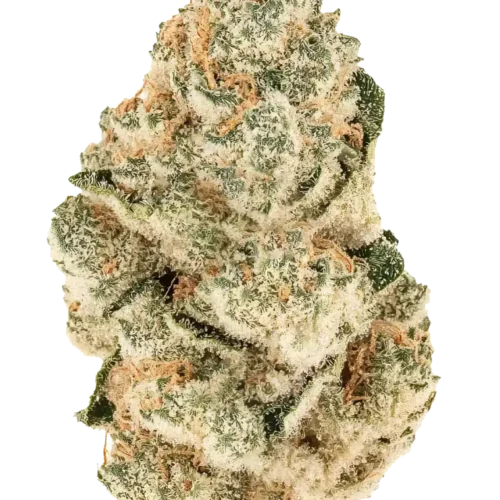Fast Buds Gorilla Melon Feminizált Kannabiszmagok 100 db