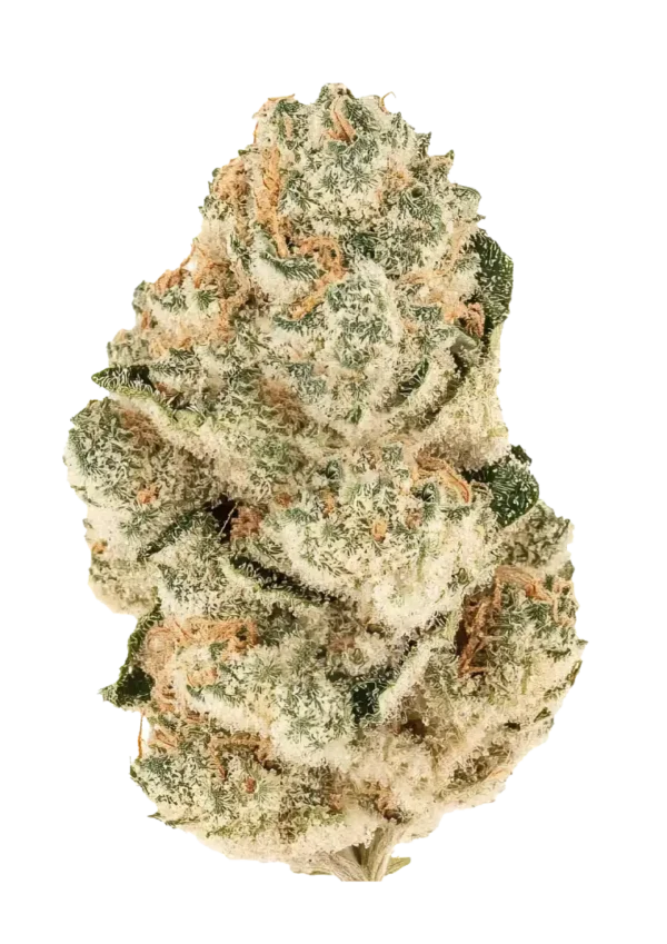 Fast Buds Gorilla Melon Feminizált Kannabiszmagok 100 db
