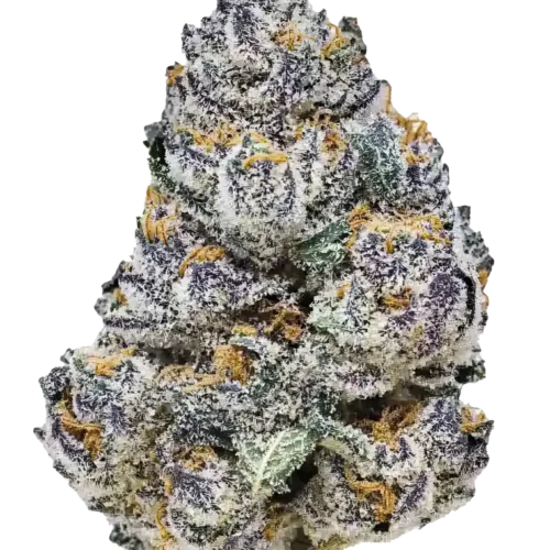 Fast Buds Rainbow Melon feminizált kannabiszmagok 100 db