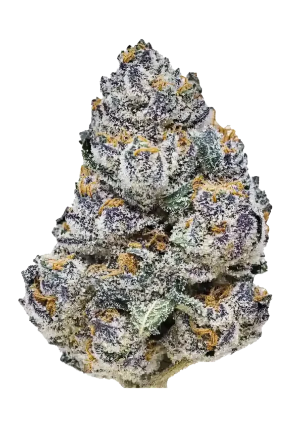 Fast Buds Rainbow Melon feminizált kannabiszmagok 100 db