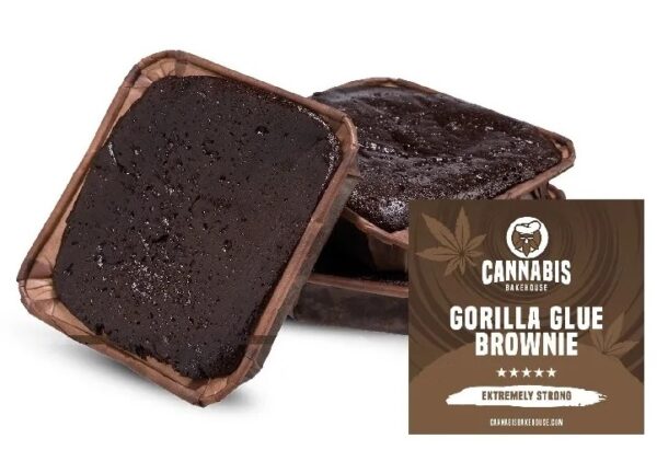 Cannabis Bakehouse Gorilla ragasztó Manó
