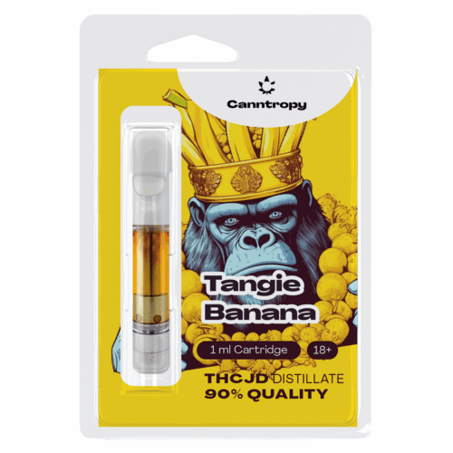 Canntropy THCJD patron Tangie Banana