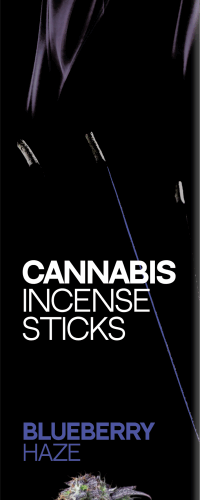 Haze Cannabis füstölő rudak Blueberry Haze