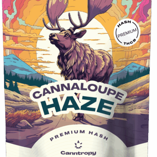 Canntropy THCB Hash Cannaloupe Haze