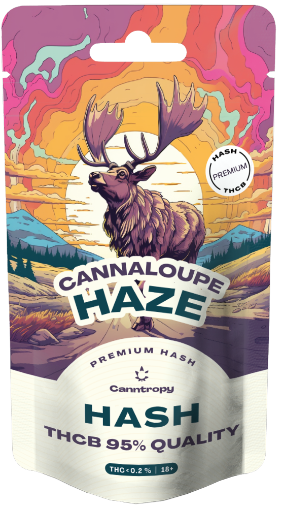 Canntropy THCB Hash Cannaloupe Haze