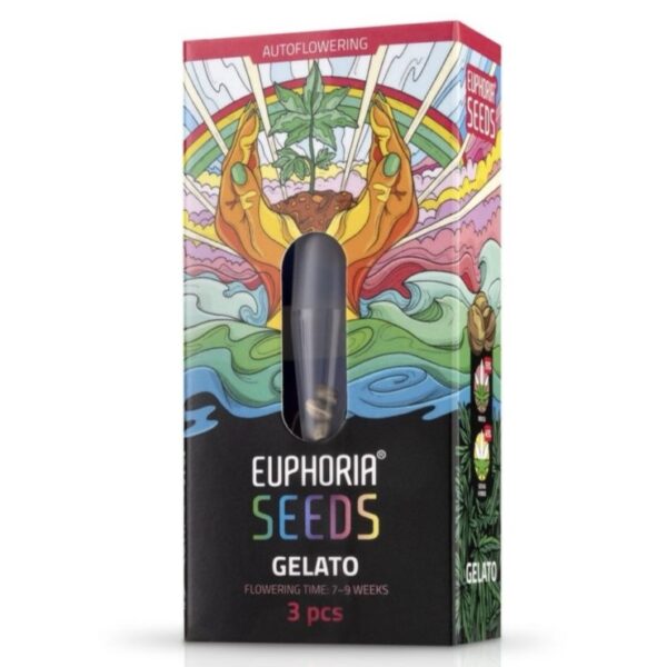 Euphoria Magok Gelato Autoflower