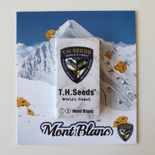 T.H.Seeds™ Cannabis Seeds Mont Blanc