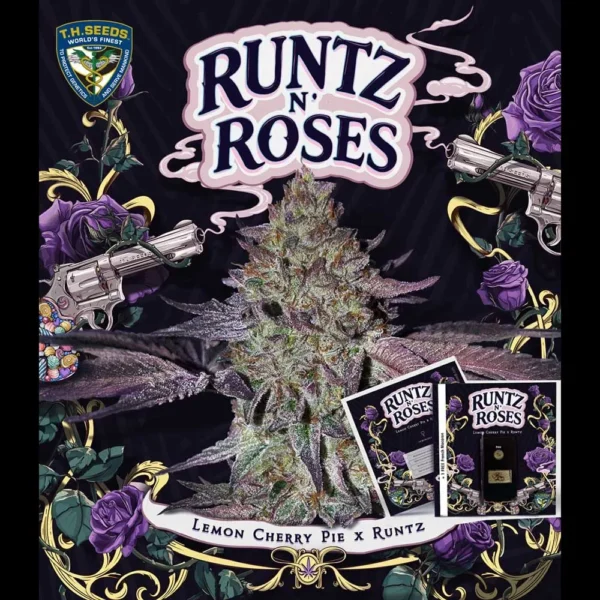 T.H.Seeds™ Cannabis Seeds Runtz N' Roses