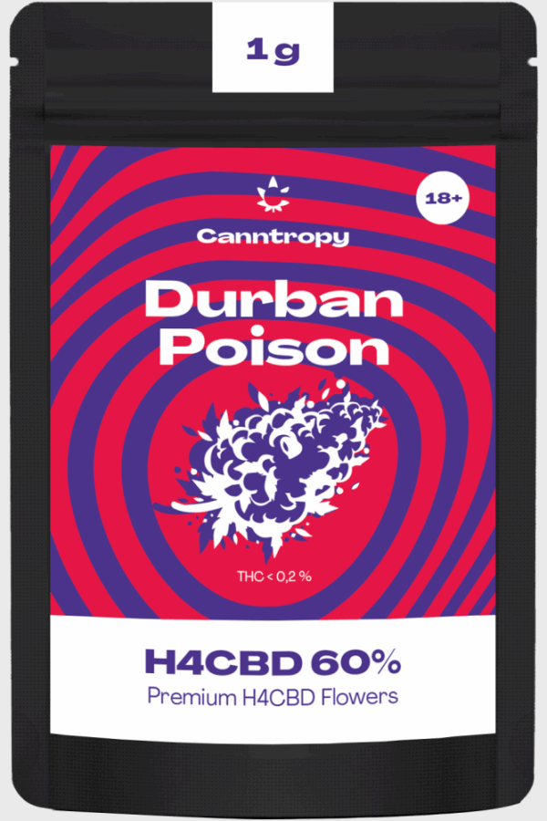 Canntropy H4CBD virág Durban Poison 60%