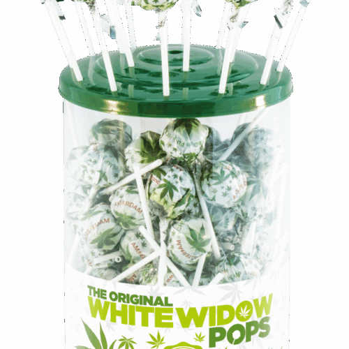 Cannabis White Widow Pops – Display Container (100 Lollies)