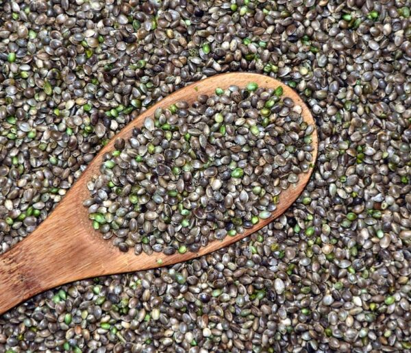 Hemp Production Hámozatlan kendermag kimérve