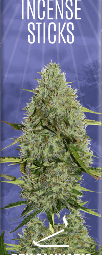Cannabis tömjénrudak Dry Cannabis & Blueberry