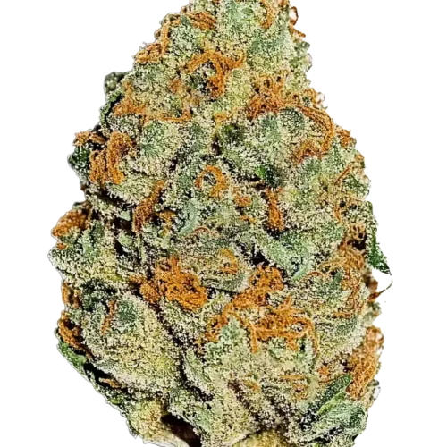 Fast Buds Feminizált Citrom Mandarin Kannabiszmagok 100 db