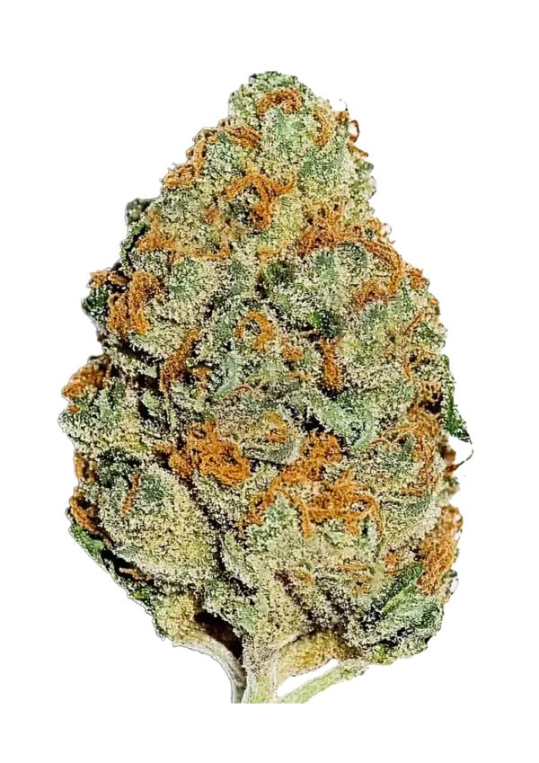 Fast Buds Feminizált Citrom Mandarin Kannabiszmagok 100 db