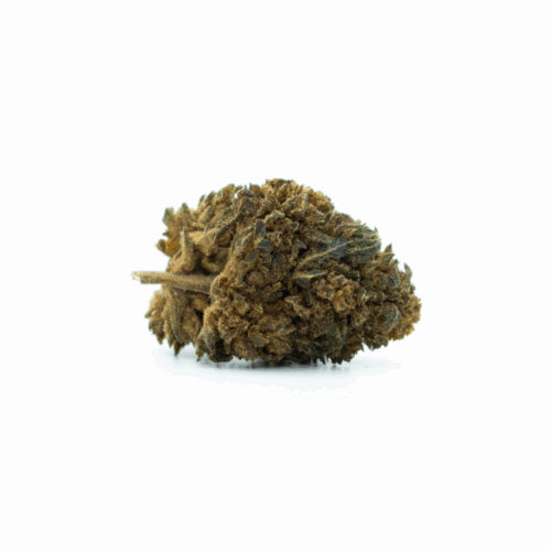 HHC-O Flower Tropical Kush 10%
