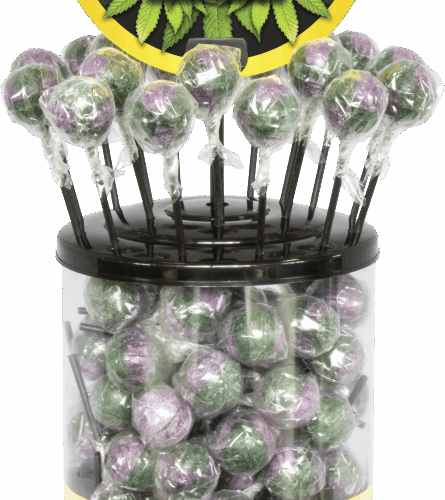 Cannabis Blueberry Haze Lollies – Display konténer (100 nyalóka)