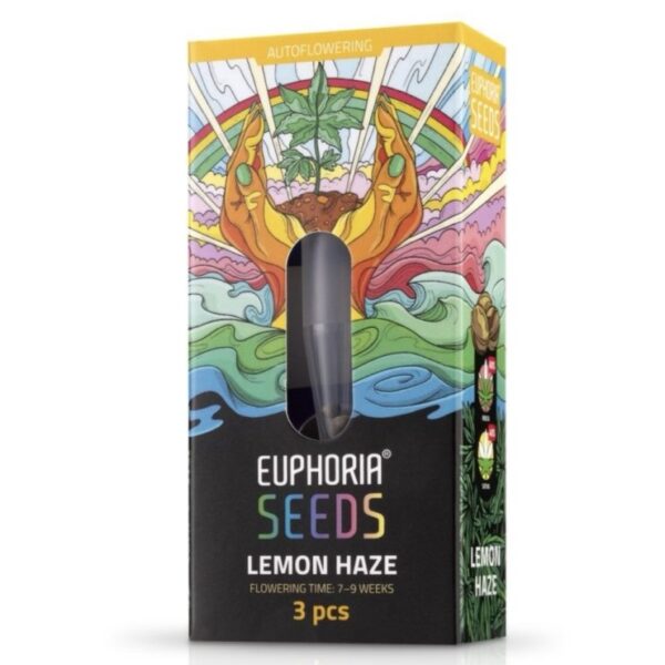 Euphoria Magok Lemon Haze Autoflower